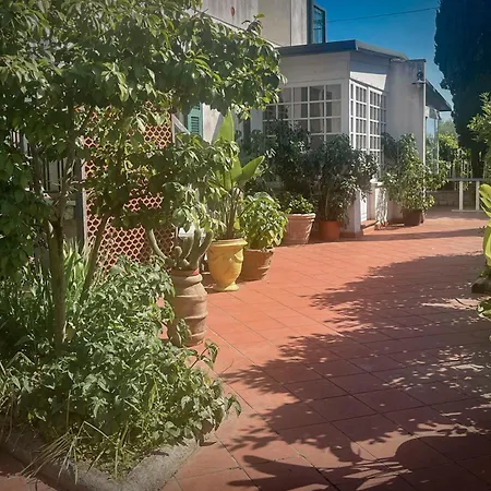 Casa Flo' Дом отдыха Марина-ди-Каррара